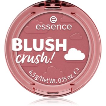 essence BLUSH crush! blush - imagine 2